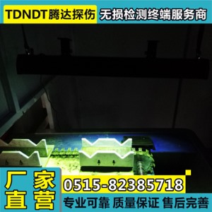 TD400-L型懸掛式黑光燈探傷燈（定制長度）